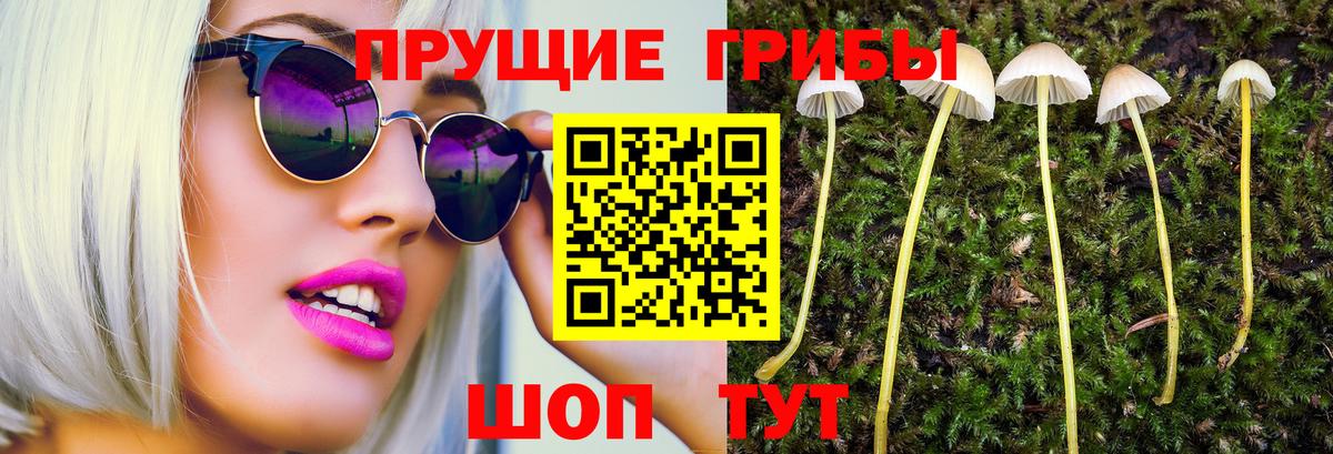 Кызыл  Псилоцибиновые грибы Cubensis  Псилоцибиновые грибы мицелий  Вход с VPN 